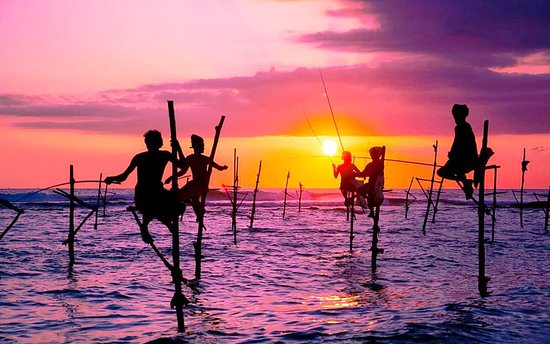 Stilt Fishermen